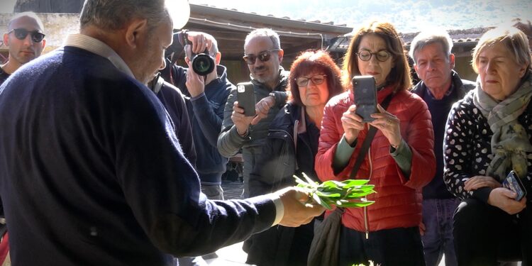 A Villanova Monteleone un viaggio tra le erbe sarde