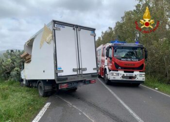 Terralba: incidente stradale sulla provinciale 61