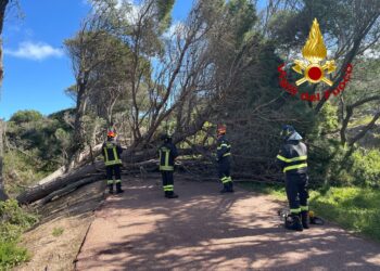 La Maddalena e Caprera: interventi dei vigili del fuoco per il forte vento