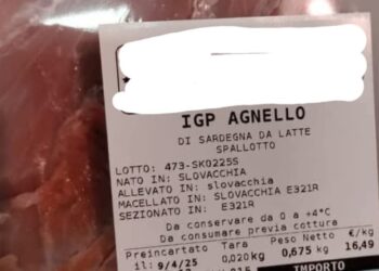 Lotta contro le etichette contraffatte: accordo tra Contas, Zecca dello Stato e Istituto Poligrafico dello Stato