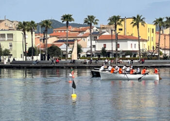 VIII Remata di Sant’Antonio Abate, un grande successo di sport, tradizione e spirito di squadra