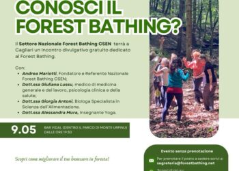 “Conosci il Forest Bathing?”: appuntamento venerdì 9 maggio a Monte Urpinu con medici e esperti