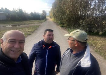 Pagamenti PAC e CSR in Sardegna: il Centro Studi Agricoli chiede risposte immediate