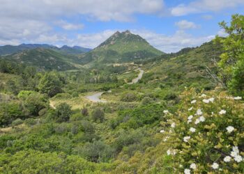 Il 29 e 30 maggio, a Torpè, si terrà il primo forum regionale sulle aree protette della Sardegna