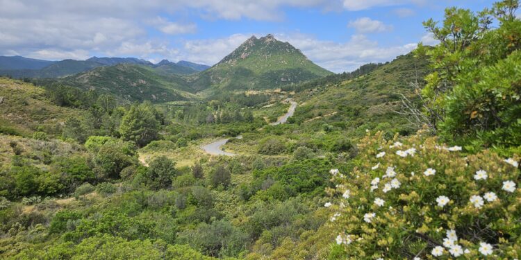 Il 29 e 30 maggio, a Torpè, si terrà il primo forum regionale sulle aree protette della Sardegna