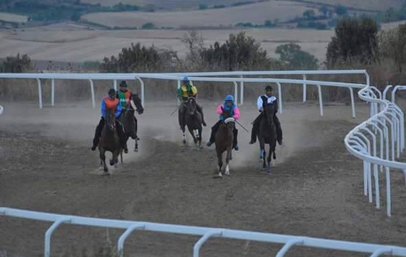 Paola Casula (sindaca di Guasila): «Col nuovo decreto nazionale rischiano di saltare le corse ippiche storiche sarde»