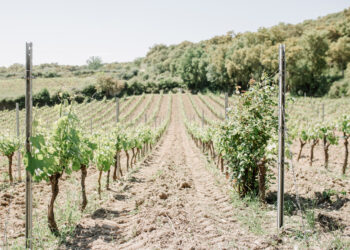 Ortueri: ecco il progetto “Framentu-Mandrolisai in fermento”