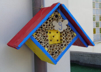 A Pozzomaggiore “Ci vuole un seme”