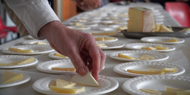 La Cultura del formaggio fra tradizione e innovazione a Villanova Monteleone