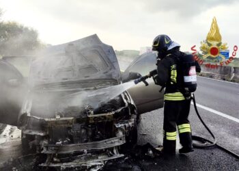 I vigili del fuoco di Cagliari sono intervenuti ieri pomeriggio per l’incendio di un canneto in via Giotto, a Quartu Sant’Elena