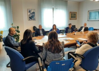 Il commissario straordinario della Asl 5 ha presentato le linee programmatiche alla conferenza socio-sanitaria