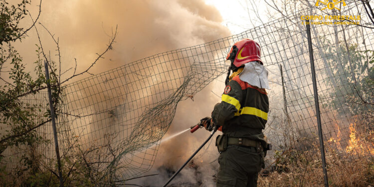 Incendi a Macomer e Masullas