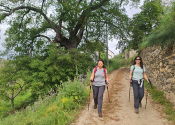Il Cammino di San Valentino attraverso Barbagia di Seulo, Trexenta e Sarcidano