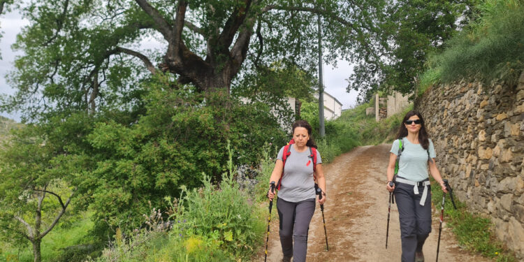 Il Cammino di San Valentino attraverso Barbagia di Seulo, Trexenta e Sarcidano