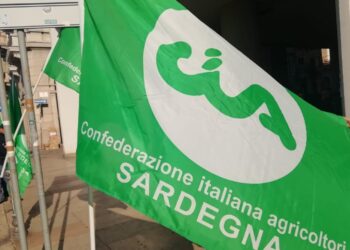 Dermatite dei bovini, Cia Sardegna: «La Regione intervenga per bloccare il virus e supportare le aziende isolane»