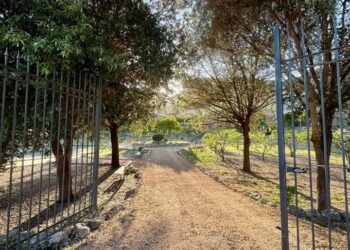 Laerru: risplendono i giardini pubblici