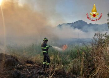 Incendi a Guasila, Bonorva e Mores