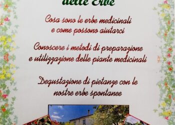Nuoro: Montricos promuove per il 12 giugno una “chiacchierata sul mondo delle erbe”