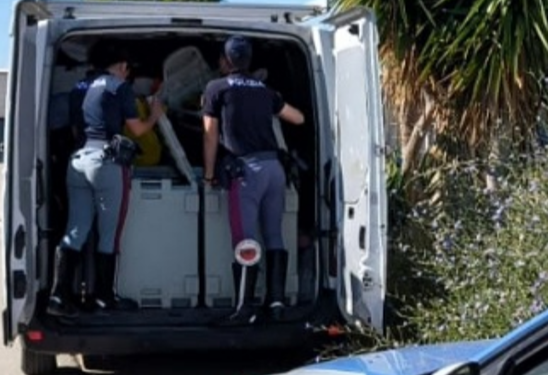 Olbia: trasporto illegale di merci surgelate, fermato un autocarro