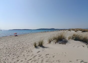 Nuovo avviso di condizioni meteo avverse per temperature elevate o molto elevate su tutti i settori interni dell’Isola dalle 12.00 del 24 giugno alle 18.00 del 26 giugno