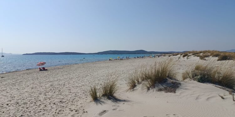 Nuovo avviso di condizioni meteo avverse per temperature elevate o molto elevate su tutti i settori interni dell’Isola dalle 12.00 del 24 giugno alle 18.00 del 26 giugno