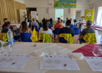 Turismo del vino in Sardegna: un incontro a Sorgono