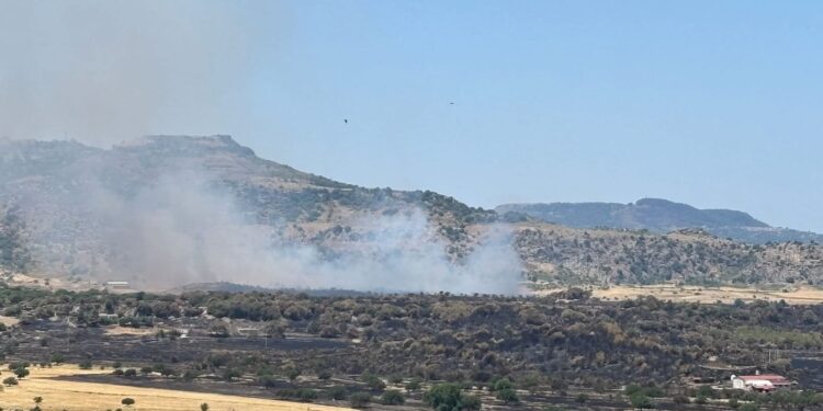 Incendi a Giave, Tortolì e Ortacesus