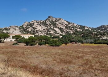 Porto Torres, Sorso, Sassari e Stintino insieme per lo sviluppo costiero