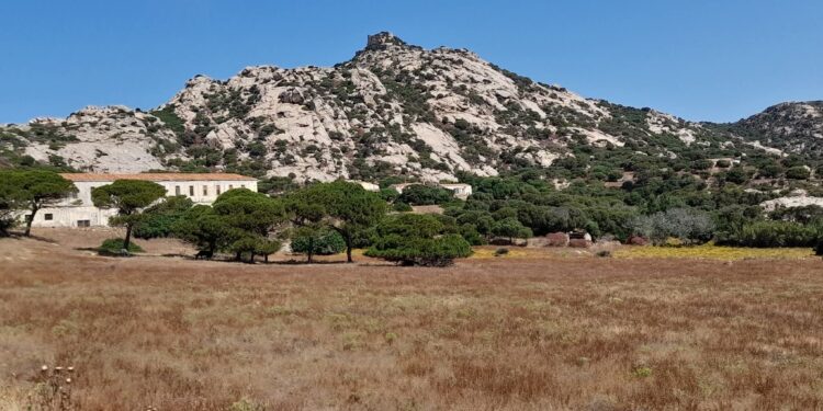 Porto Torres, Sorso, Sassari e Stintino insieme per lo sviluppo costiero