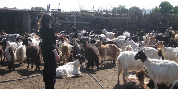 Ossi: Parco delle Arti di Molineddu l’Aria Performing Art Festival