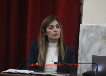 Dermatite Nodulare Contagiosa, la preoccupazione di Daniela Falconi (Anci Sardegna)