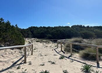 Arzachena: parte il monitoraggio delle aree di sosta e delle strade di accesso alle spiagge