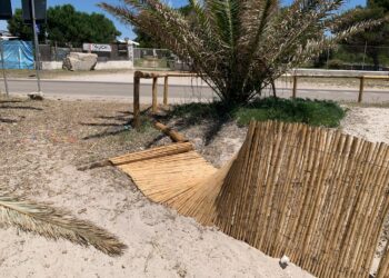 Alghero: danneggiato il sistema dunale a Maria Pia