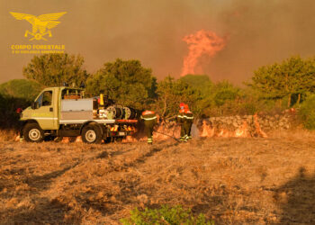 Incendi a Pattada, Terralba, Serramanna, Gonnosfanadiga, San Sperate, Capoterra e Assemini
