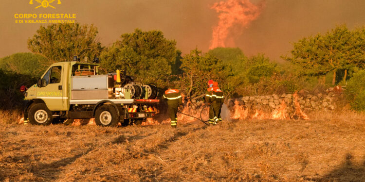 Incendi a Pattada, Terralba, Serramanna, Gonnosfanadiga, San Sperate, Capoterra e Assemini