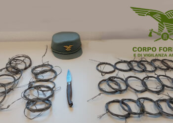 Operazione anribracconaggio nel Salto di Quirra, un denunciato