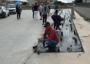 Vetrina nazionale per “Manus in terra”. A Roma i progetti di agricoltura sociale del Csm di Ales-Terralba