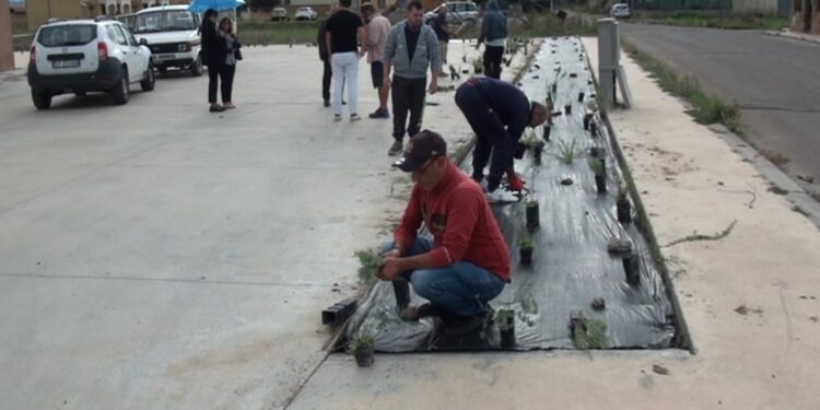 Vetrina nazionale per “Manus in terra”. A Roma i progetti di agricoltura sociale del Csm di Ales-Terralba