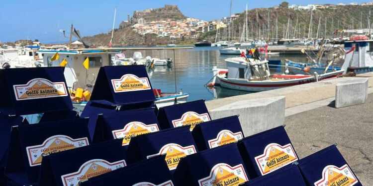 Al via il conto alla rovescia per il 30º Rally Internazionale Golfo dell’Asinara, che si correrà su asfalto il 27-29 giugno
