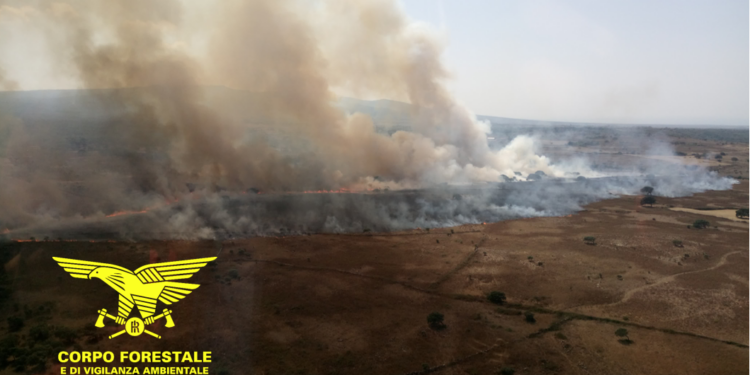 Incendio nelle campagne di Ussana