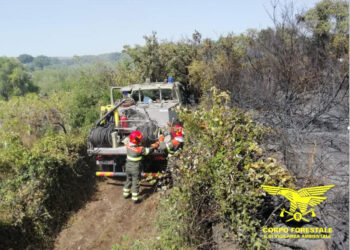 Incendi a San Giovanni Suergiu, Muravera, Riola Sardo e Quartucciu