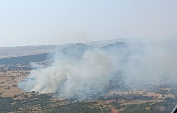 Incendi ad Arbus, Ardara, Ozieri, Ballao, Ottana, Sanluri e Pattada