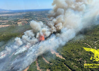 Incendi a Quartucciu, Santa Maria La Palma, Ozieri, Muros, Villacidro, Ossi e Ittiri