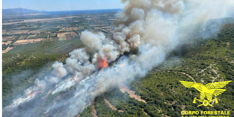 Incendi a Quartucciu, Santa Maria La Palma, Ozieri, Muros, Villacidro, Ossi e Ittiri