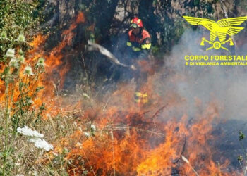 Dualchi: incendio in località “Su Ghercu”