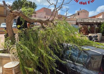 La Maddalena: interventi dei vigili del fuoco per le raffiche di maestrale