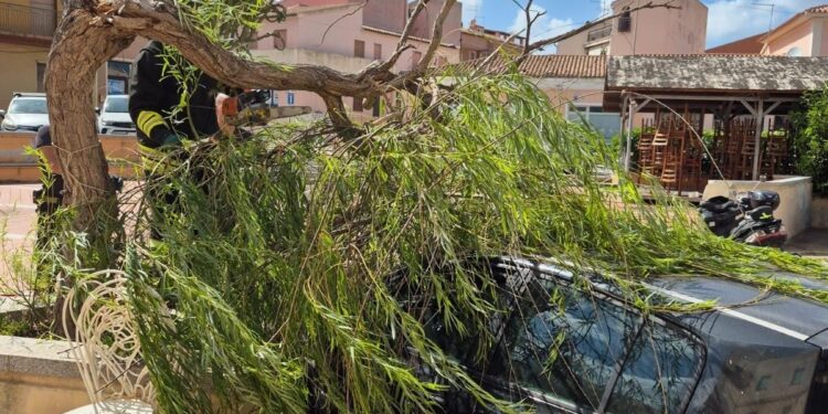 La Maddalena: interventi dei vigili del fuoco per le raffiche di maestrale