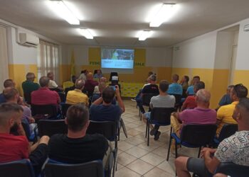 Malattia dei bovini: incontro tra Coldiretti e Asl di Oristano