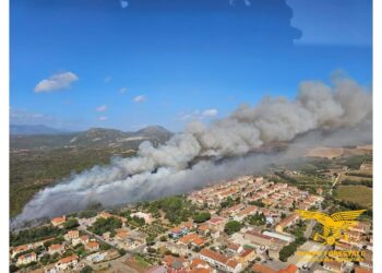 42 incendi sono stati registrati oggi in Sardegna