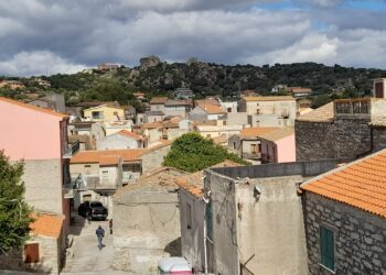 Dermatite nodulare dei bovini: se ne parla il 23 luglio a Orotelli